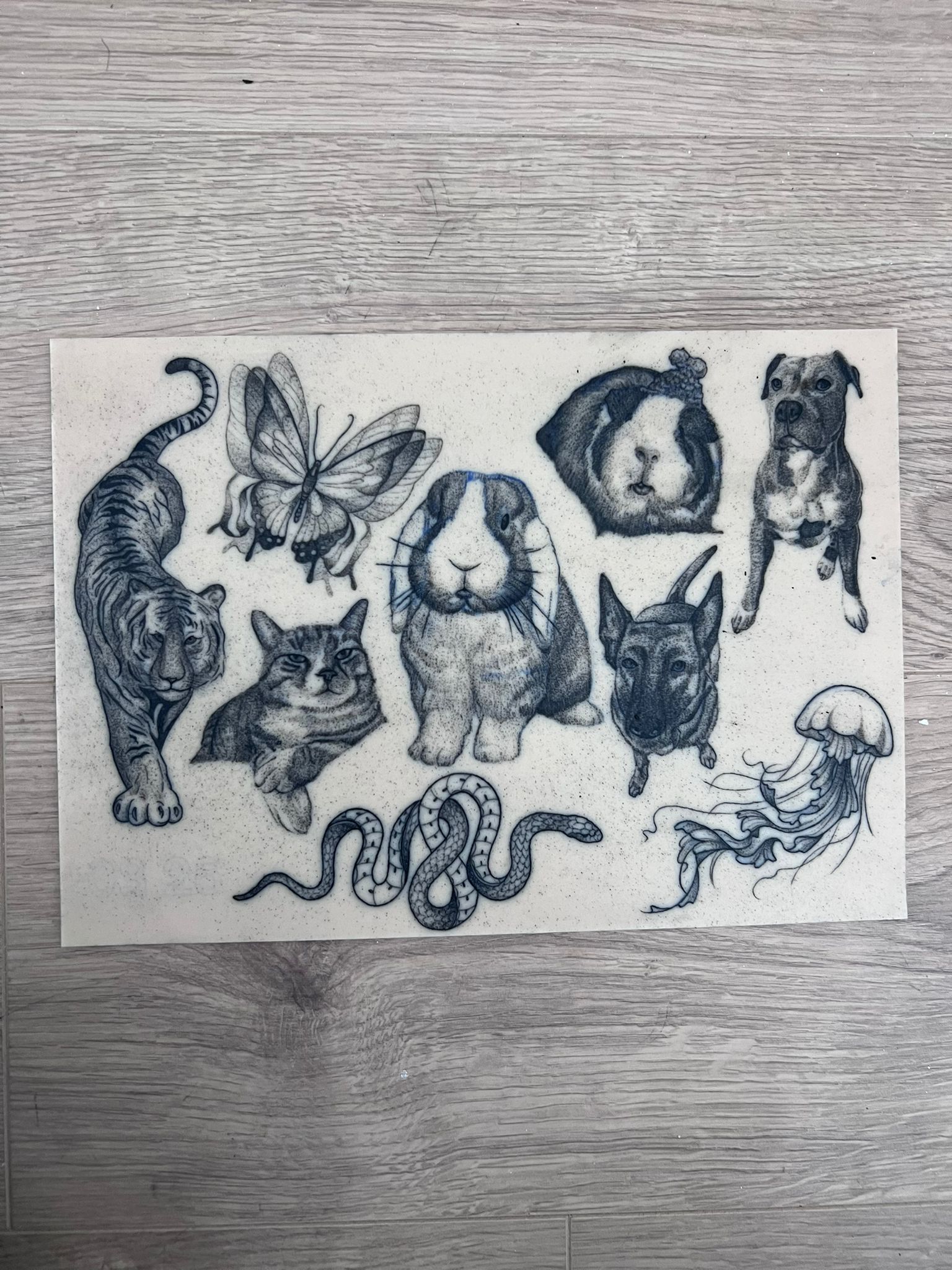 Horizontal design study